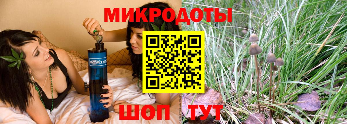 Галлюциногенные грибы Psilocybe  Вход с VPN  Ленинск-Кузнецкий  продажа наркотиков  Псилоцибиновые грибы Magic Shrooms 